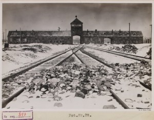 Quelle: Panstwowe Muzeum Auschwitz-Birkenau ©