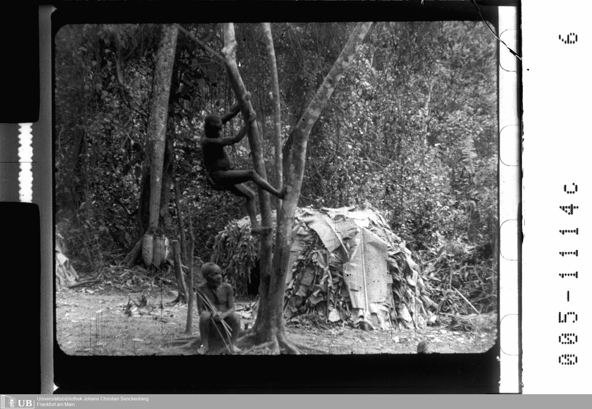 Zwei Männer im Wald; hinter ihnen eine Hütte