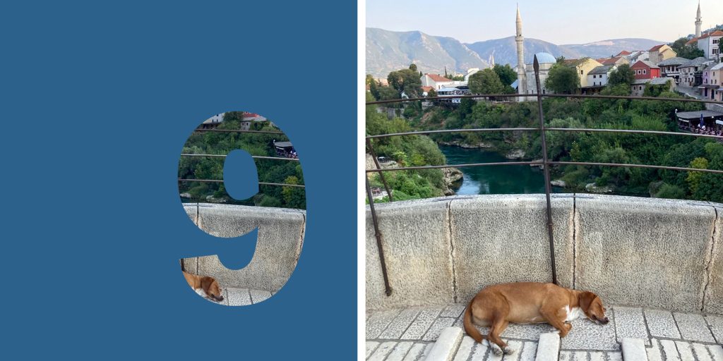 Collage: links.: Zahl „9“, rechts: brauner Hund schläft auf einer Brücke; Blick auf eine Stadt mit Minarette.