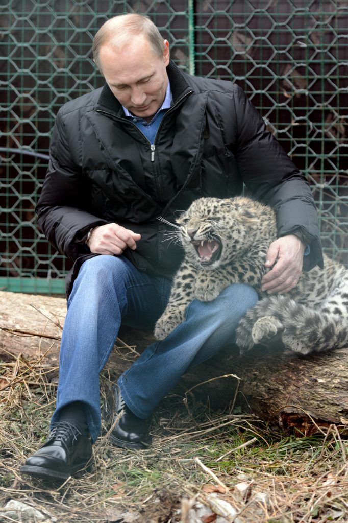 Mann mit einem fauchenden Leoparden auf dem Schoß; im Hintergrund ein Zaun