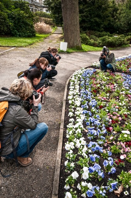 Farbfoto von vier Personen, die kniend Blumen im Beet fotografieren.