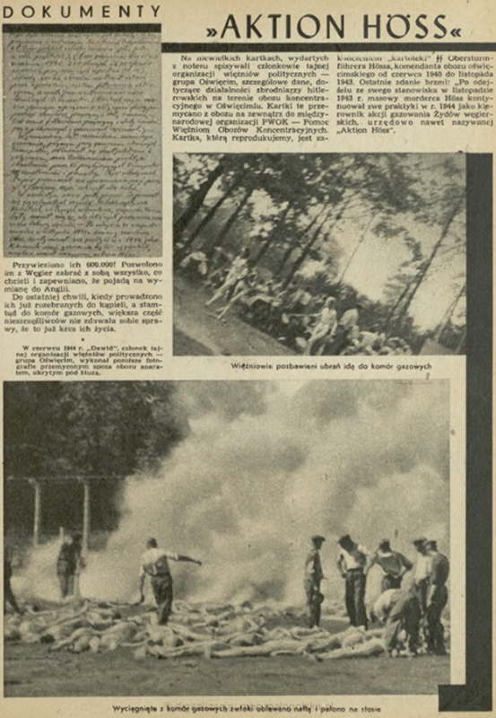 Zeitungsseite mit zwei Fotografien und dem Bild eines Kassibers: nackte Frauen in einem Waldstück und Verbrennungsgrube mit davor liegenden Leichen und Häftlinge