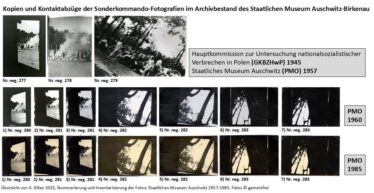17 Kontaktabzüge mit Datierung: Verbrennungsgrube mit davor liegenden Leichen und Häftlinge, nackte Frauen in einem Waldstück, Türrahmen und Bäume