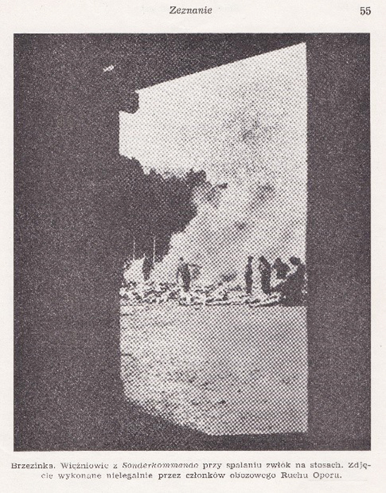 Buchseite mit Foto von Verbrennungsgrube mit davor liegenden Leichen und Häftlinge sowie Türrahmen