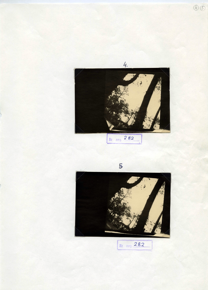 Zwei Fotografien auf einem Blatt Papier: Türrahmen und Bäume